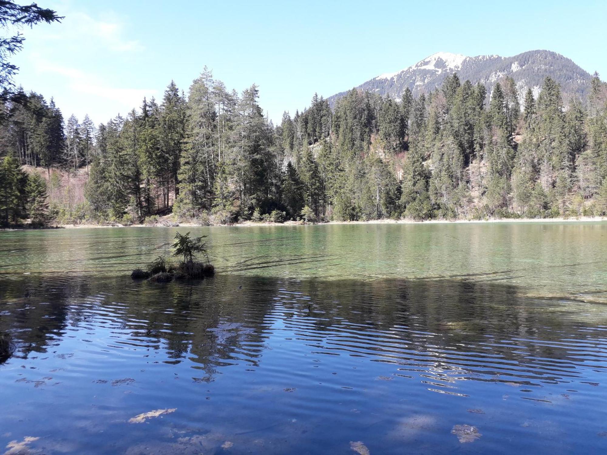 Lechtraum Appartamento Stanzach