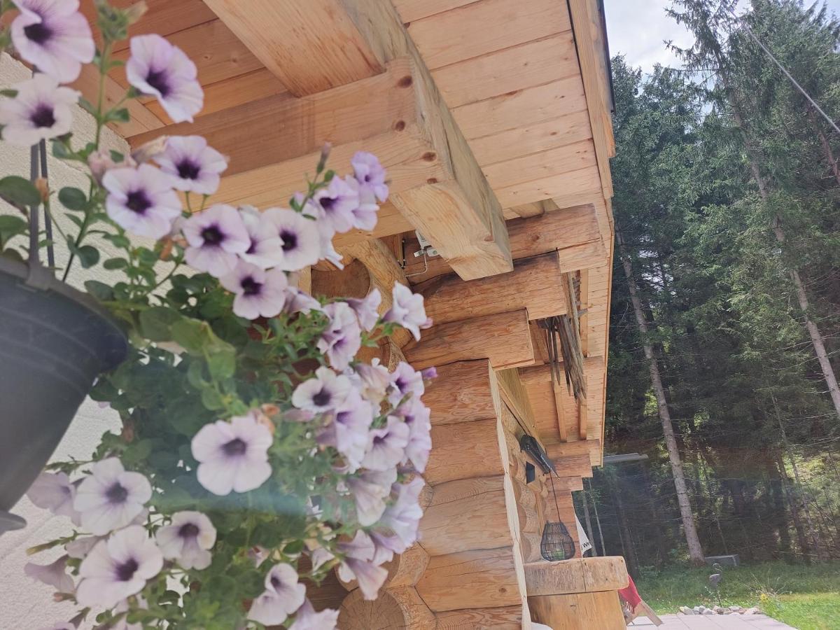 Lechtraum Apartment Stanzach